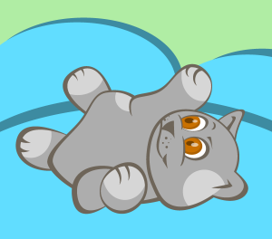 kitty
